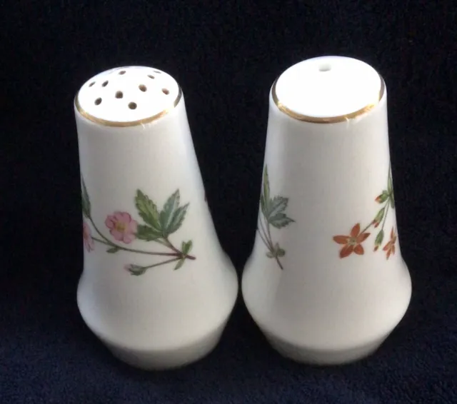 MINTON “Meadow”  Bone China Salt & Pepper Pots Cruet