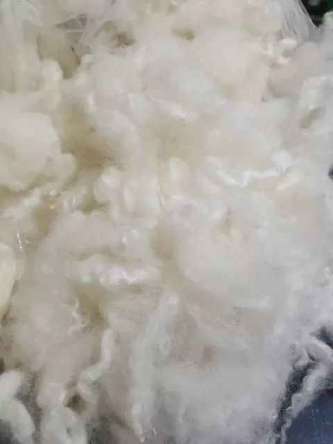 100gr White Quality Washed Sheeps Wool Fleece Spinning Felting  Crafts