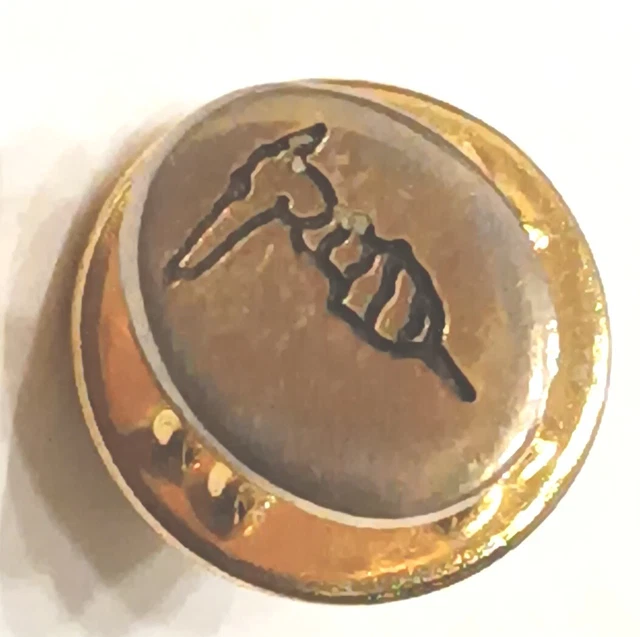 Spilla Fenice Con Zirconia Oro Arcobaleno - Simbolo Rinascita, Regalo Per Donna E Mamma