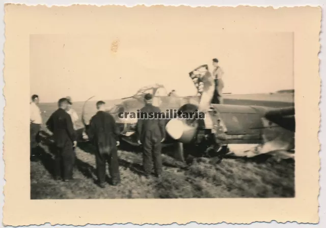 Orig. Foto Notlandung Junkers Ju 88 Flugzeug Bomber