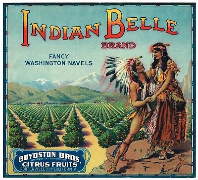 Original Orange Crate Label C1915 Porterville Indian Belle Stone Litho