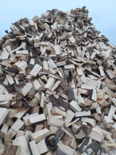 Brennholz Fichte getrocknet - Scheitlänge 30 cm, Feuer, Kaminholz, Ofen