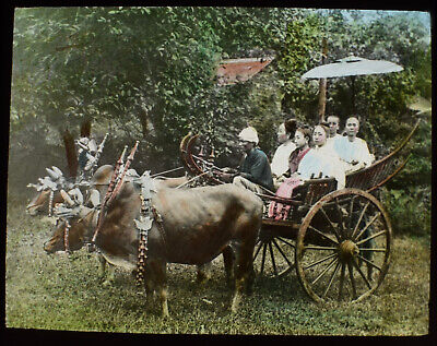 BERMESE LADIES  IN FESTIVAL CART BURMA C1890 OLD PHOTOGRAPH Magic Lantern Slide