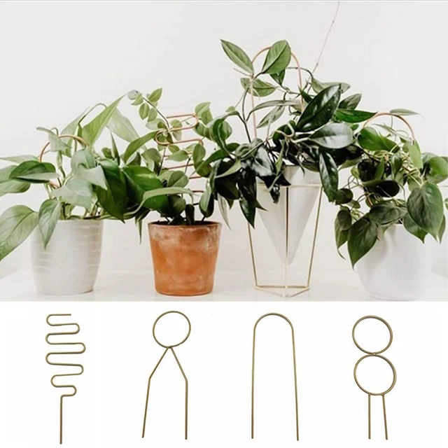 Fleur Support pour plantes Support d'escalade Cadre d'escalade Tige de fixation