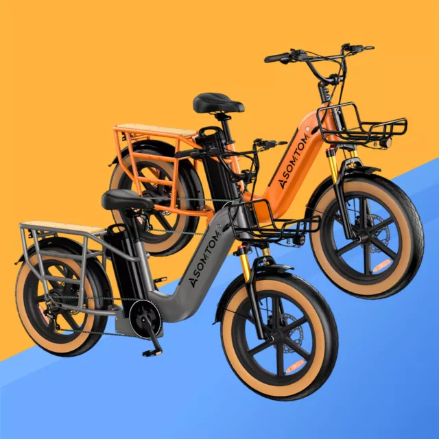 PORTE-VÉLOS PESIO POUR Vélo Électriques Et Bike Ebike Fat Bike Max 25kg EUR  139,88 - PicClick FR