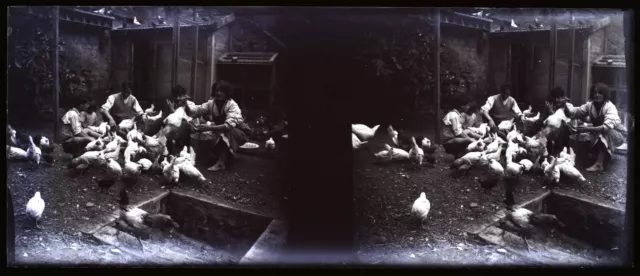 Family chicken coop France c1930 photo NEGATIVE STEREO plate vintage V36L3n2