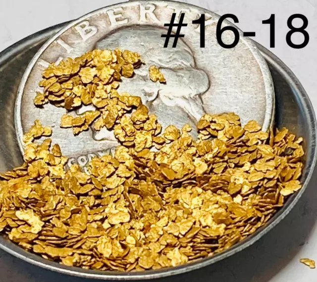 GOLD NUGGETS 3+ GRAMS Alaska Natural Placer Bottom Dollar Creek #16-#18 Mesh