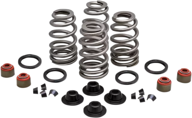 KW Valve Spring Kit .660in Lift w Valve Seal Dyna Street Bob 06-17 3