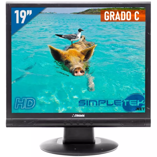 Monitor Écran Acer V193 Affichage 19  5:4 4:3 VGA Vesa Ordinateur PC DVR