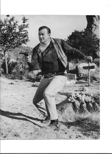 John Wayne: The Sons of Katie Elder