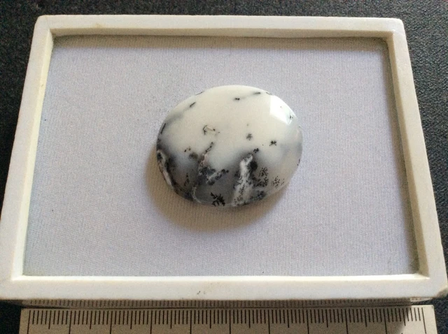 Dentrite Naturale  Cabochon  65 Carati