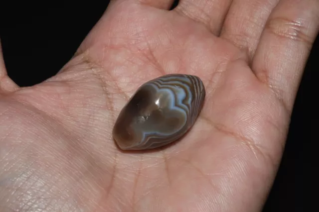 Genuine Ancient Tibetan Himalayan Banded Agate dZi Bead over 2000 Years Old 3