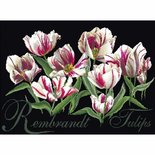 Kit point de croix  Rembrandt Tulips 447-05  Thea Gouverneur  Aida noir