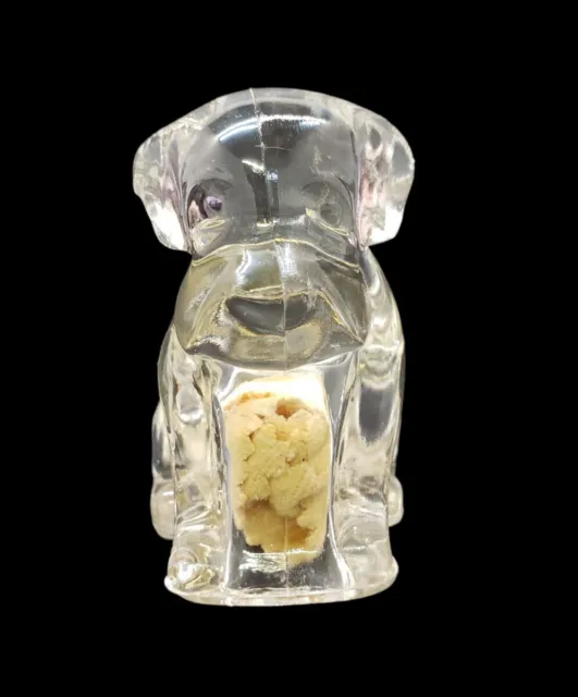Federal Glass Bad Dog Sit! CANDY CONTAINER Clear Puppy Figural 3"