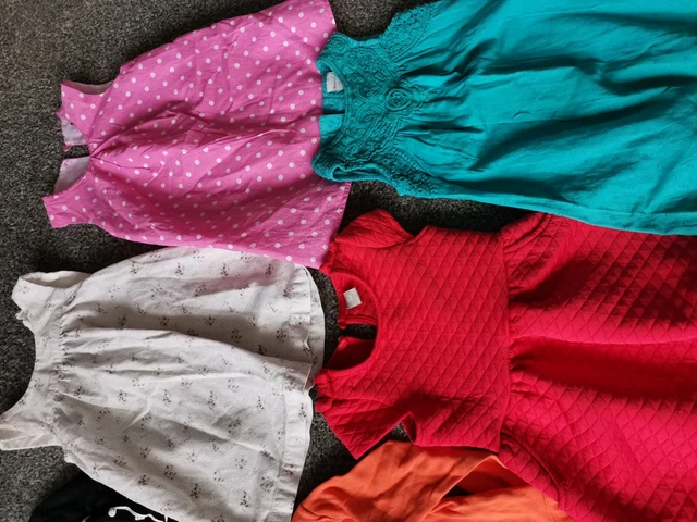 11 X Baby Girls Clothes Bundle. 9-12 Months 3