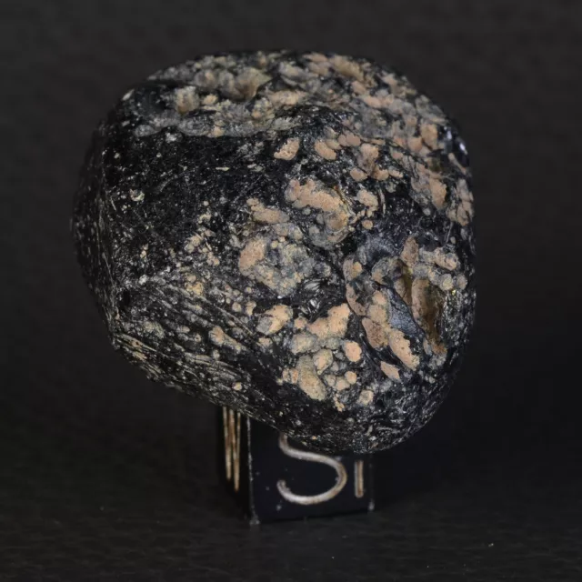 Tectite impact météorite Indochinite Australasite 33.64 g tektite #B156.19-64