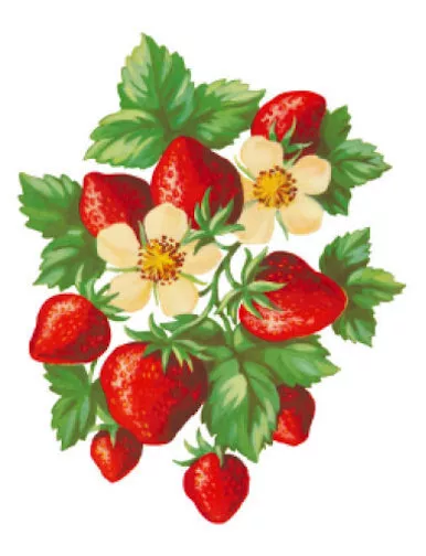 Vintage Image Shabby Retro Floral Strawberries Waterslide Decals FRU746