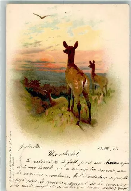 39807364 - Litho-Artist Anstalt Serie XI Rehe Jagdtier 1899