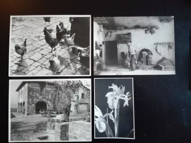 4 Foto Giunti Moreschi Agricoltura Cultura Contadina Folklore Locale Toscana