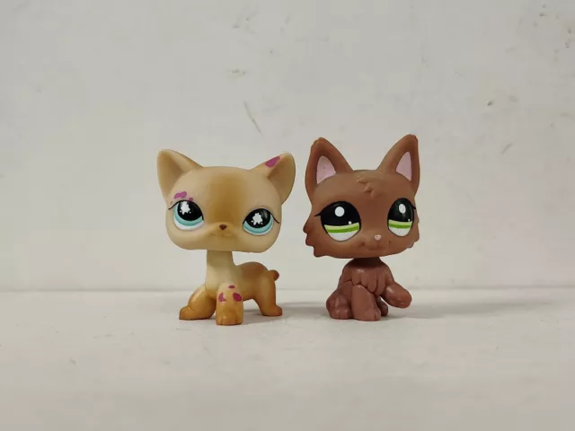 2pcs/lot LPS Toys Littlest Pet Shop Cat Wolf Dog #816#2440 Animal Figures