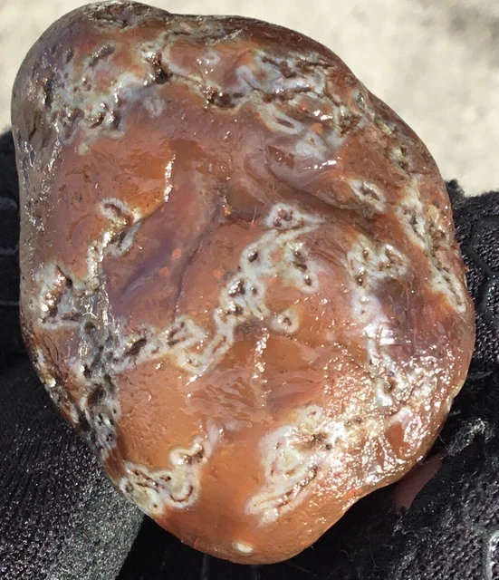 2.0  oz Lake Superior Agate Fragmented Membrane Nodule Lsa
