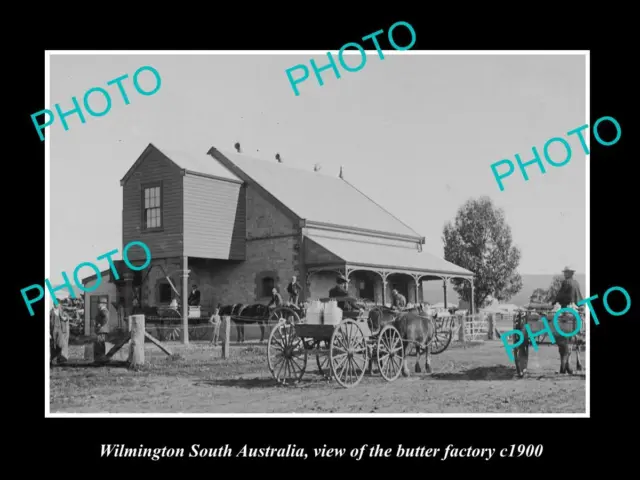 OLD LARGE HISTORIC PHOTO OF WILMINGTON SA VIEW OF THE BUTTER FACTORY c1900
