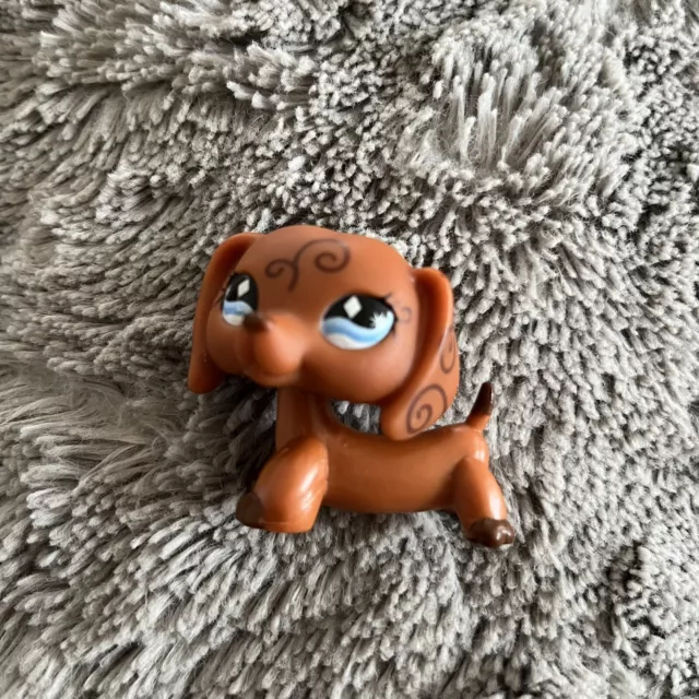 Littlest Pet Shop LPS Dog Brown Swirl Ear Dachshund Diamond Blue Eyes 640