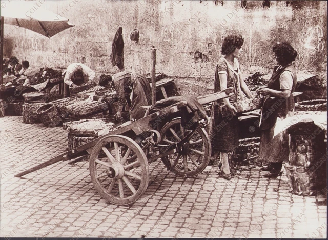 1905 ROMA Venditrici di verdure carretto bancarelle RISTAMPA Fotografia