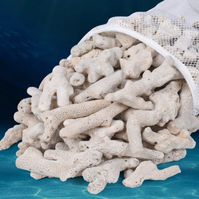 500g Aquarium Filter Felsen Korallenriff Knochen Meerwasser Süßwasser Marine