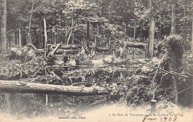 CPA Dept 94 Val de Marne - Bois de Vincennes after the Cyclone 16 June 1908
