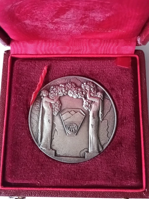 MÉDAILLE D'AVIATION AVION de ligne bronze argenté à étudier EUR 12,00