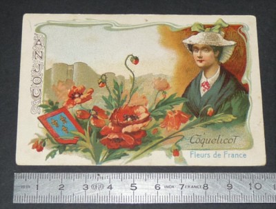 CHROMO 1890-1910 BON-POINT ECOLE IMAGE FLEURS DE FRANCE ROUSSILLON AURICULE 