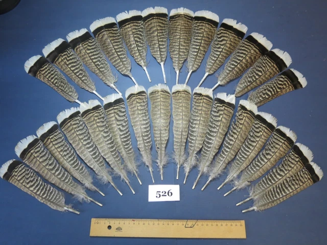 28 piezas plumas de cola de pavo, ataduras de mosca, peces de agua salada, plumas de sombrero (526)