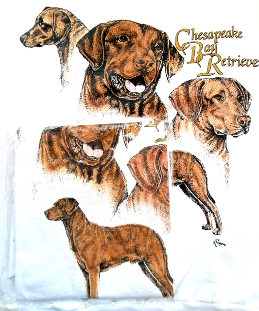 Chesapeake Bay Retriever Sweatshirt -T-shirt Set Size SM 34/36