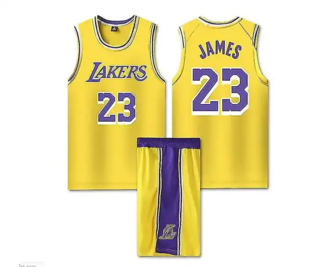 LeBron James Los Angeles Lakers Diamond Icon Edition NBA Swingman Jers –  Basketball Jersey World