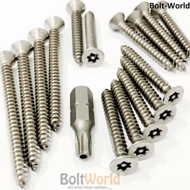 Countersunk Csk Torx 6 Lobe Pin Self Tapping Security Screws A2 Stainless Steel
