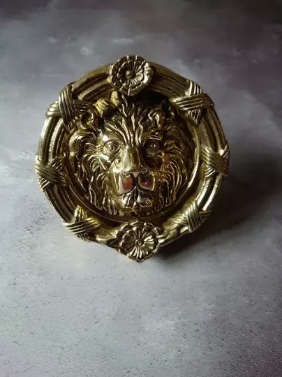 brass lion head door knocker