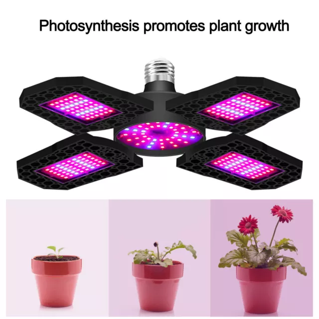 E27 LED Grow Light Faltbare Vollspektrum-Wachstumslichter Für Zimmerpflanze