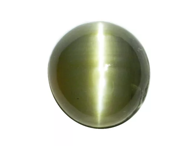 CHRYSOBERYL CATS EYE 1.14 Cts - NATURAL SRI LANKA LOOSE GEMSTONE 21306