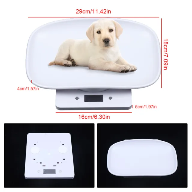 10kg Weight Scale Digital LCD Electronic Body Pet Kittens Puppies 1g Scales
