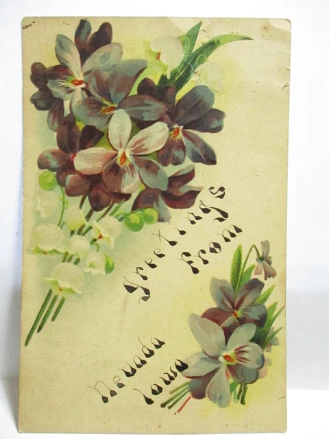 1910 Large Letter Floral Postcard Greetings From Nevada Iowa Nevada Ia Cancel