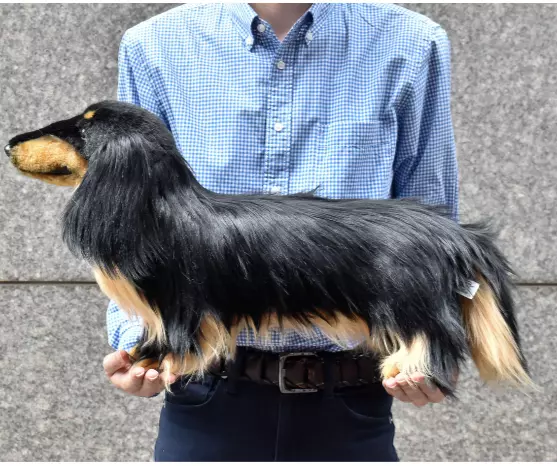 HANSA BH8149 Miniature Dachshund Dog Long Hair Stuffed Doll Plush Toy 23.2in　NEW