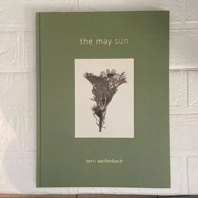 TERRI WEIFENBACH THE May Sun Photo Book First Edition Art