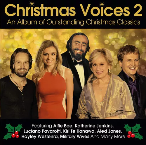 Various Artists : Christmas Voices 2: An Album of Outstanding Christmas