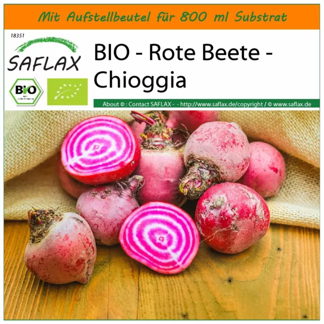 SAFLAX Garden in the Bag - BIO - Rote Beete - Chioggia - Beta - 70 Samen