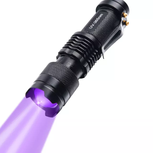UV LED Zoomable Flashlight Torch Light 365nm Ultra Violet Blacklight AA Battery