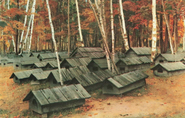 Postcard Indian Cemetery Iron River Michigan