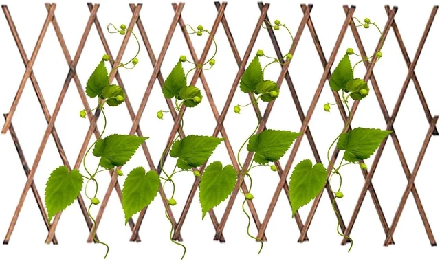 Expandable Garden Trellis | Wooden Fence for Climbing Plants