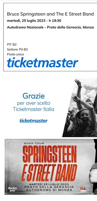 Bruce Springsteen 1 biglietto PIT B2 Monza 25 luglio 2023 (E-ticket)