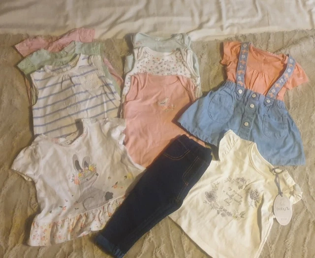baby girls clothes 3-6 months bundle (11 items)